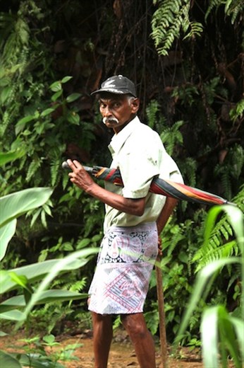 Father of the Forest, Kitulgala