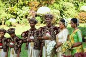 Wedding photos, Botanic Gardens, Kandy: by vagabondstoo, Views[699]