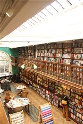 Neighborhood bookstore: by vagabondstoo, Views[524]