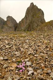 Eastern Iceland: by vagabondstoo, Views[456]
