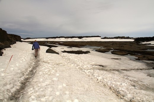 Neither snow nor lava fields can slow her down, Dettifoss