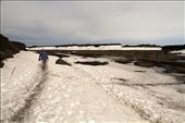 Neither snow nor lava fields can slow her down, Dettifoss: by vagabondstoo, Views[345]