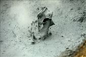 Splashing mud, Namafjall Geothermal Area: by vagabondstoo, Views[319]