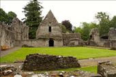Inchmahome Priory ruins: by vagabondstoo, Views[517]