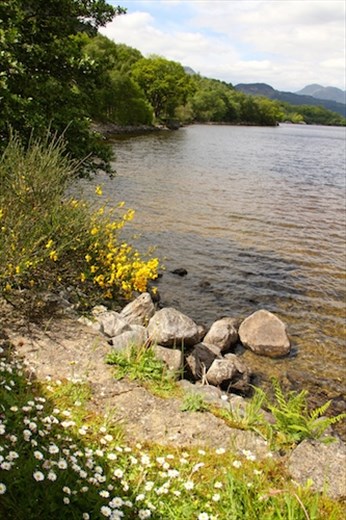 On the bonnie bonnie banks of Loch Lohman