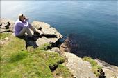 Birding on the cliffs of Brisay, Mainland, Orkney: by vagabondstoo, Views[574]