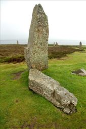 Struck by lightning, Ring of Brodgar, Mainland, Orkney: by vagabondstoo, Views[568]