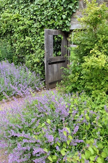 Araberdour Castle and Gardens