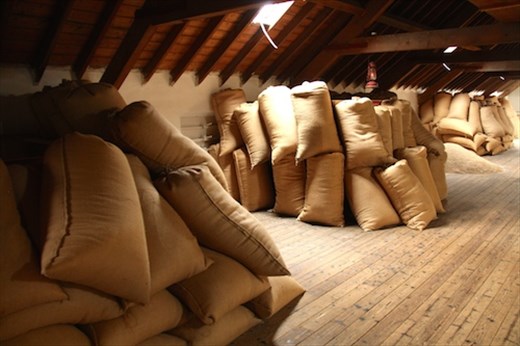 It all starts with barley, Dallas Dhu Distillery