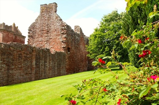 Edzell Castle and Gardens