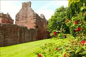 Edzell Castle and Gardens: by vagabondstoo, Views[425]