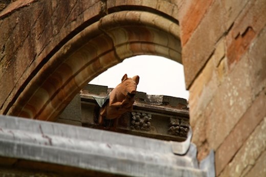 Piping Pig of Melrose Abbey