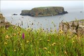 Causeway Coast: by vagabondstoo, Views[438]