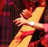 Hands of the harpist Bru Boro Center, Cashel: by vagabondstoo, Views[216]