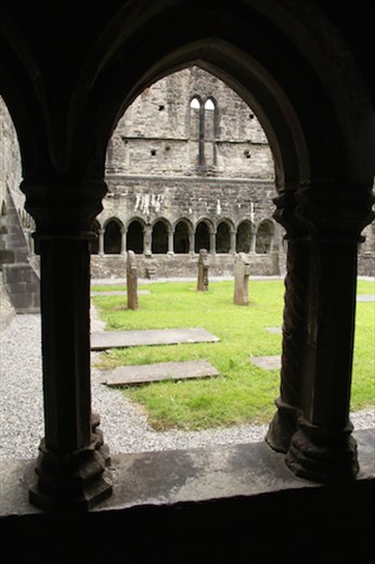 Sligo Abbey