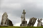 High crosses, Clonmacnoise Monastic Site: by vagabondstoo, Views[1226]
