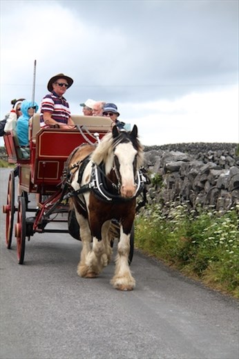 Carriages are for lazy tourists only, Innishmore