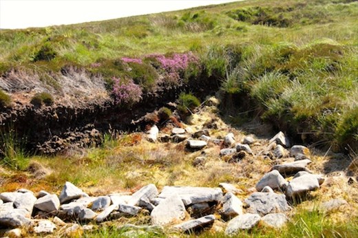 Ceide Fields Neolithic site