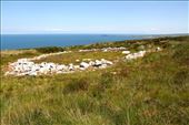 Ceide Fields Neolithic site: by vagabondstoo, Views[392]