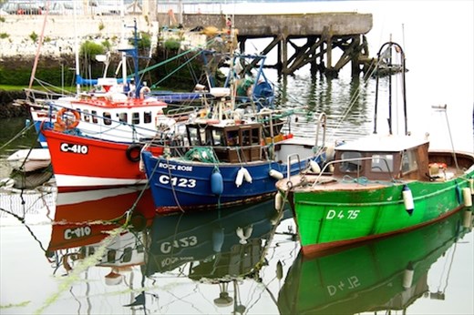 Harbor, Cobh