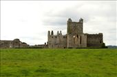 Dunbrody Abbey: by vagabondstoo, Views[207]