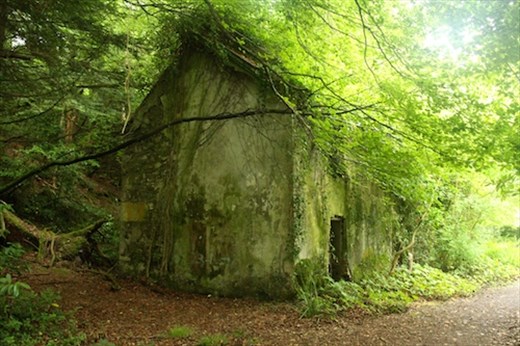 Fairies' house? Ashford Castle