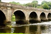 Bridge at Inistioge: by vagabondstoo, Views[287]