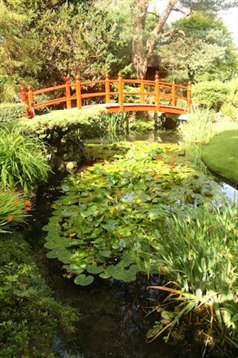 Japanese Garden, Newbridge