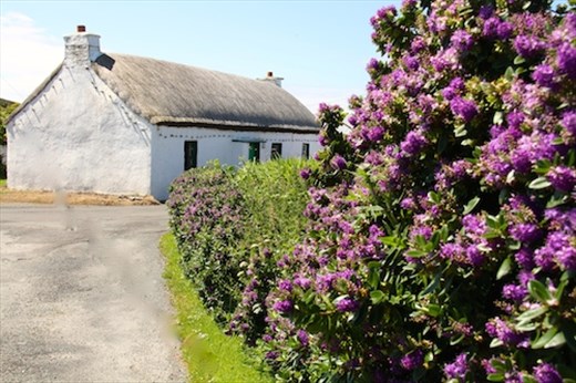 Donegal Cottage 