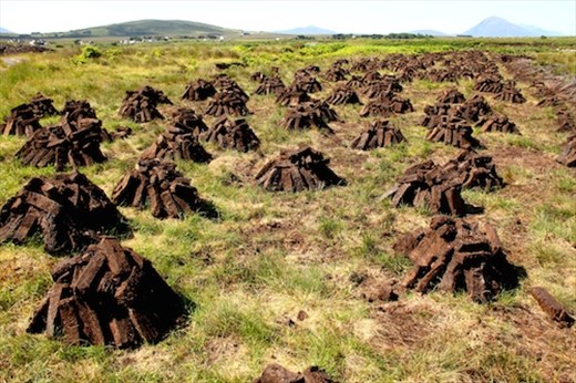 Peat harvest