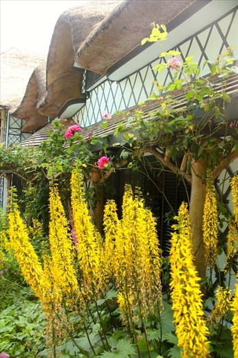 Swiss Cottage, Cahir