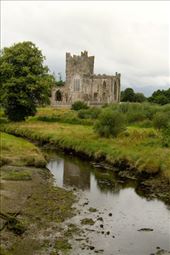 The Irish Tintern Abbey: by vagabondstoo, Views[206]