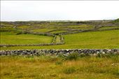 A maze of stone walls, Innishmore: by vagabondstoo, Views[511]