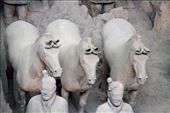 The Terracotta Wariors and horses too: by vagabondstoo, Views[630]