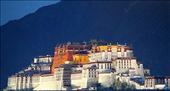 Potala Palace at night, Lhasa: by vagabondstoo, Views[1151]