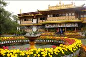 Summer Palace, Lhasa: by vagabondstoo, Views[638]