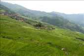 Longi Rice Terraces: by vagabondstoo, Views[480]