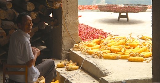 Village life, Dragon's Backbone