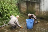 Cleaning the panda enclosure, Bifengxia: by vagabondstoo, Views[632]