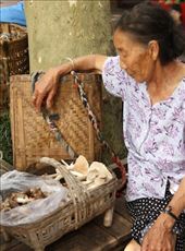 The Real China: by vagabondstoo, Views[484]