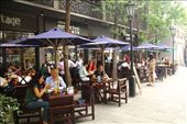 French Concession cafe culture, Shanghai: by vagabondstoo, Views[485]