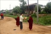 Receiving morning alms, Nyaung Shwe: by vagabondstoo, Views[530]