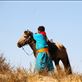 Horsemen are essential for driving the sheep, Ikh Nart Nature Reserve Views[509]