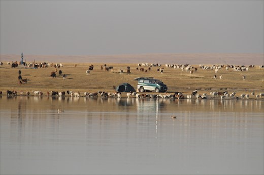 Our camp from the other side of the lake, Gun Galuut Nature Reserve