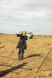 Connie bracing the net, Ikh Nart Nature Reserve: by vagabondstoo, Views[482]