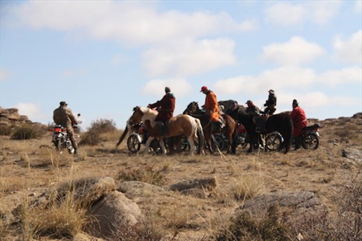 Horsemen depart after the last capture, Ikh Nart Nature Reserve