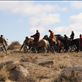 Horsemen depart after the last capture, Ikh Nart Nature Reserve Views[533]