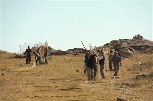 Many hands make light work, Ikh Nart Nature Reserve