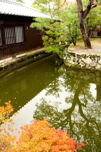 Autumn colours, Kiyomizu-dera, Kyoto