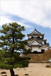 Hikone Castle, Hikone: by vagabondstoo, Views[562]
